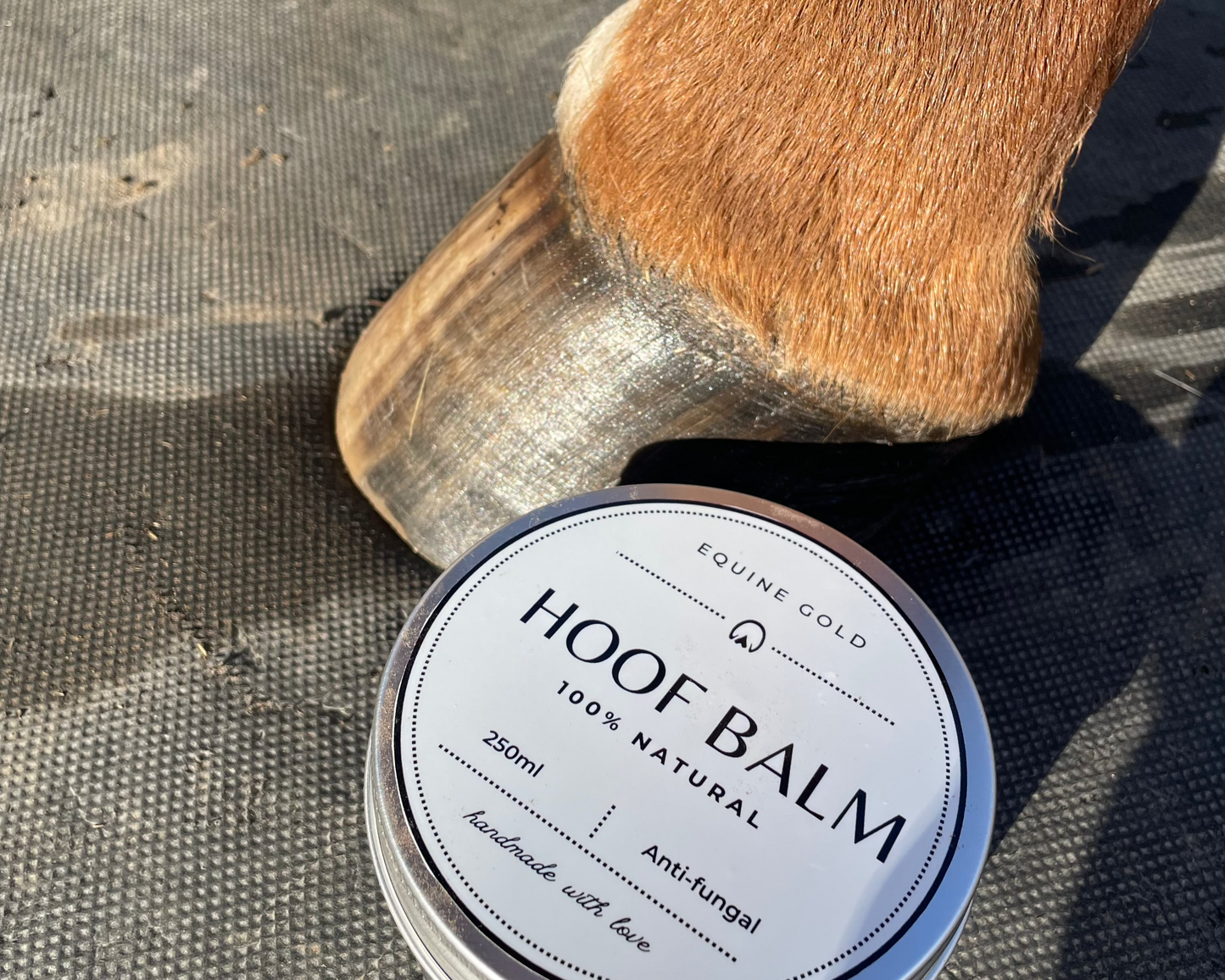 Equine Gold Hoof Balm
