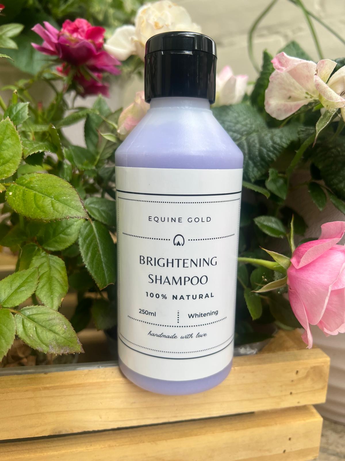 Brightening Shampoo
