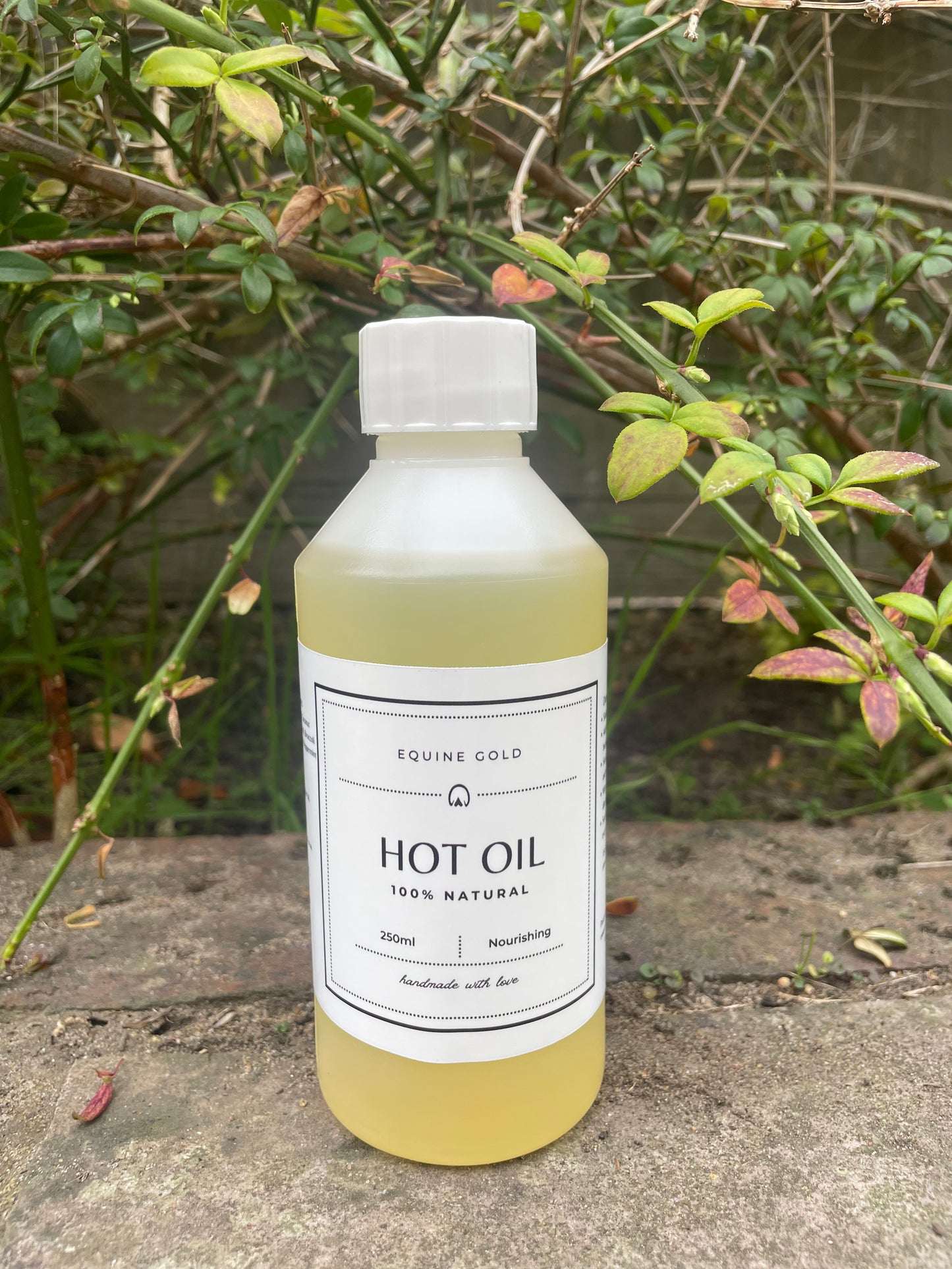 Equine Gold Hot Oil