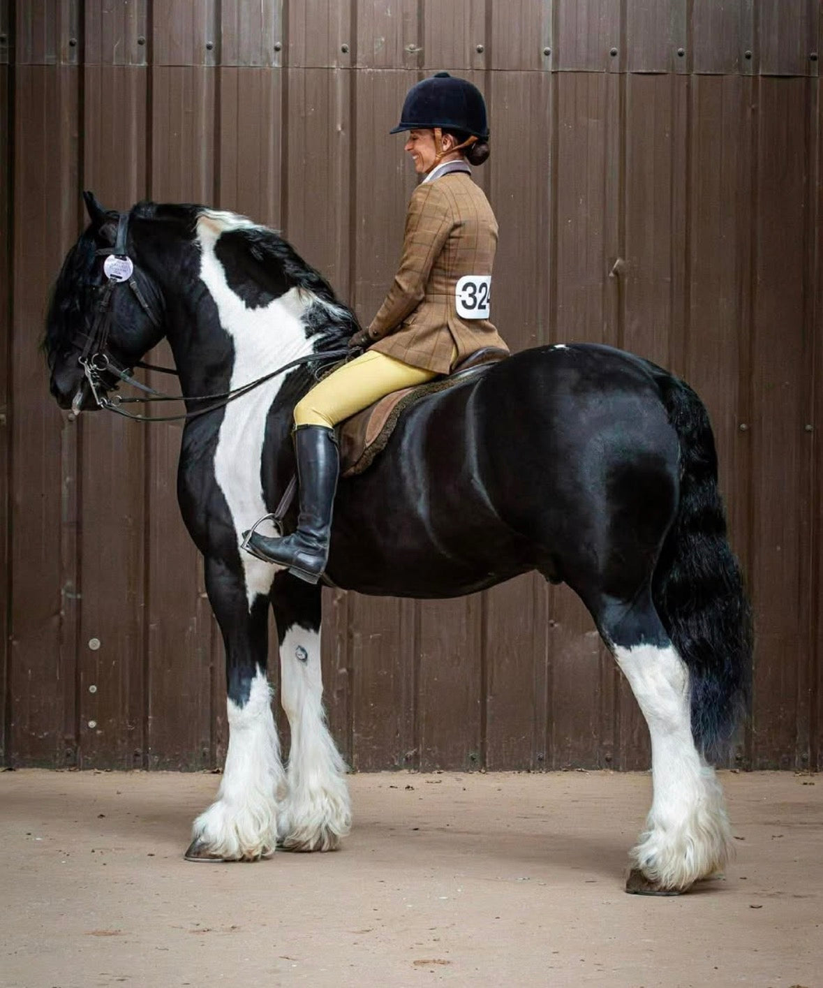 Equine Gold Coat Shine Spray