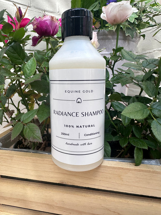 Radiance Shampoo