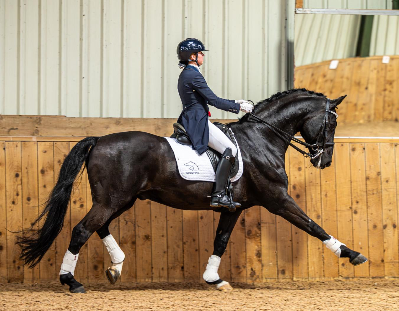 Equine Gold Coat Shine Spray
